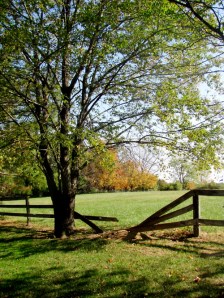 tumblr_lvzw8yTFz51qf8nqdo1_500